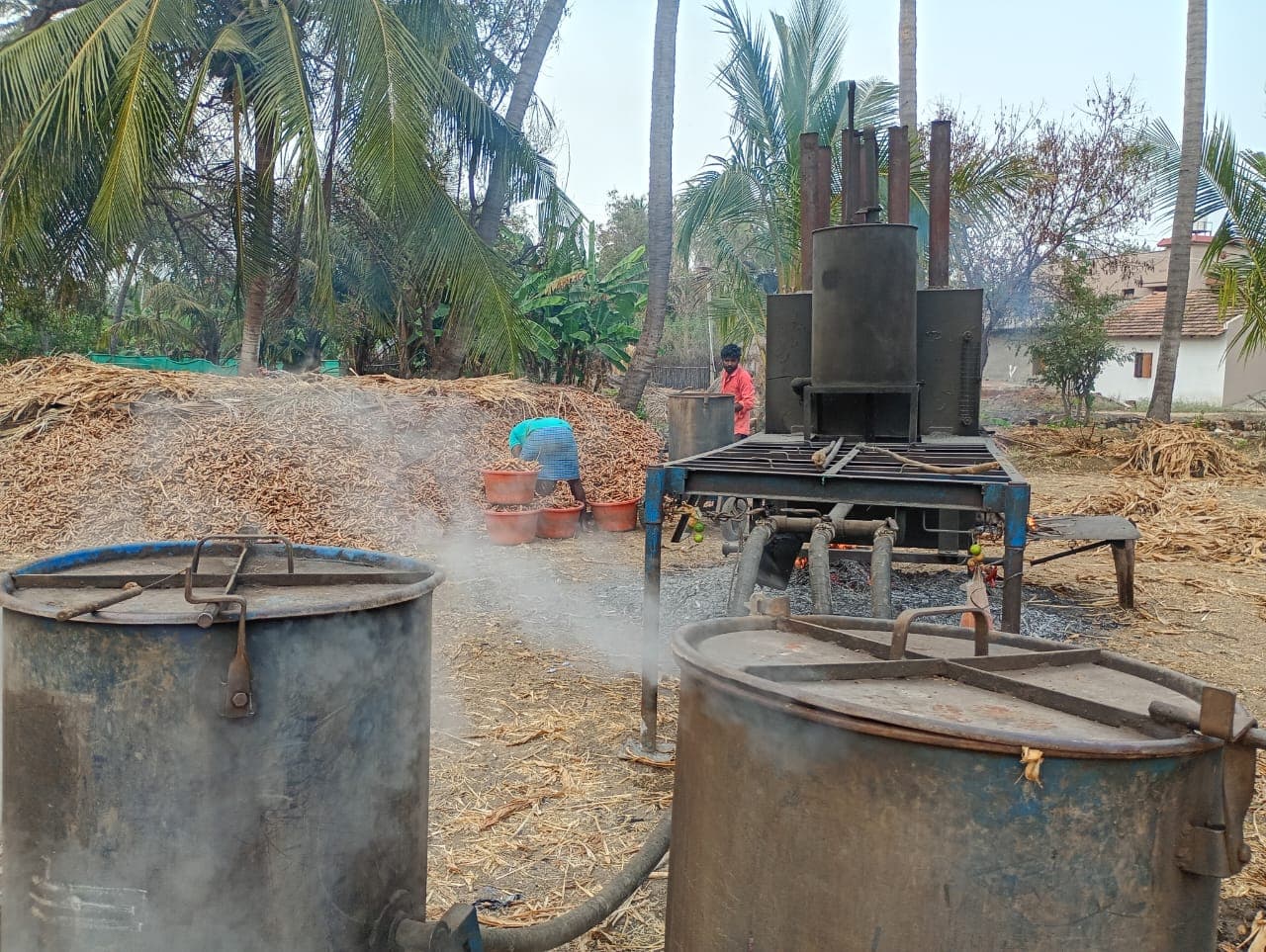 Ponkali farm — Perundurai, Erode