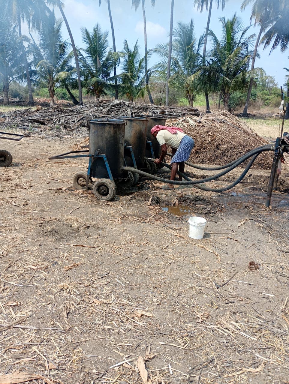 Ponkali farm — Perundurai, Erode