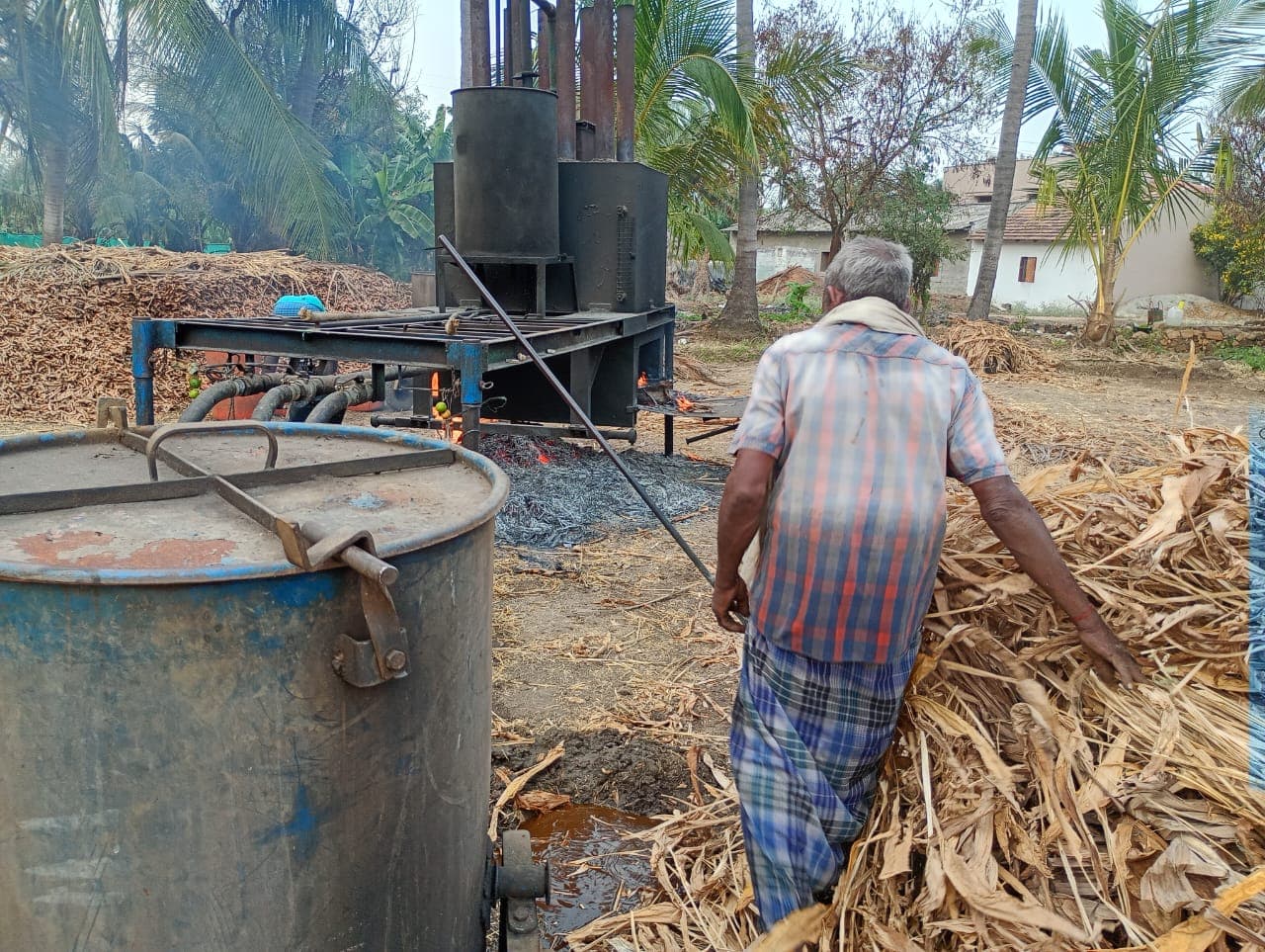 Ponkali turmeric farm — Perundurai, Erode