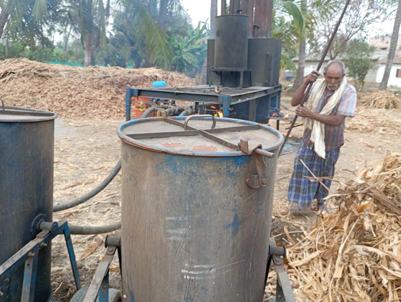 Ponkali turmeric farm — Perundurai, Erode