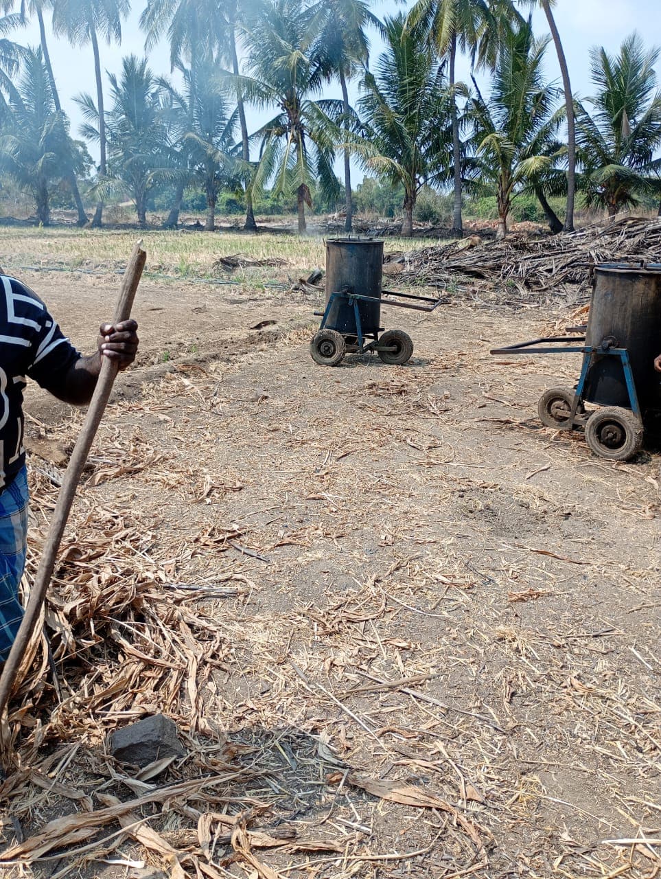 Ponkali turmeric farm — Perundurai, Erode